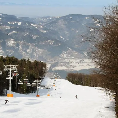 Penzion Pohorska Kavarna 3*