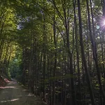 Pohorska Kavarna Maison d'hôtes 3*