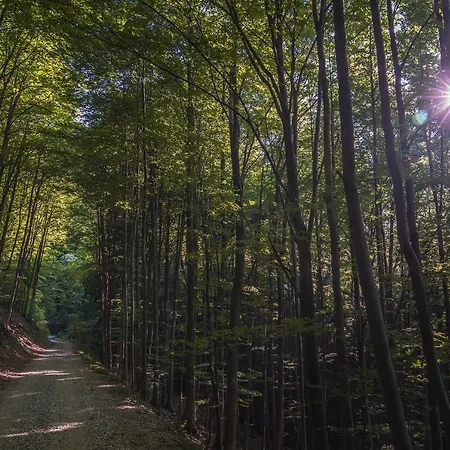 Pohorska Kavarna בית הארחה 3*