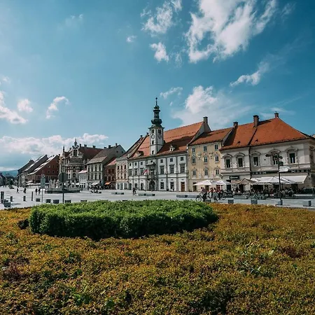Guest house Pohorska Kavarna Maribor