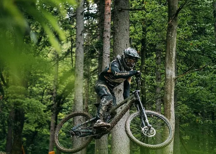 Gasthuis Pohorska Kavarna 3*